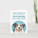 Search for aussie pet cards Blue merle