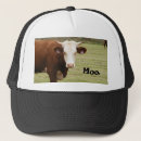 Search for moo hats Cattle
