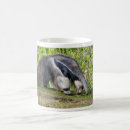 Search for anteater mugs Mammal