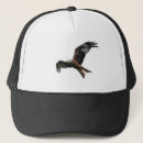 Search for kite accessories Nature
