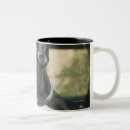 Search for side profile mugs Indoors