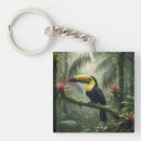 Search for colorful bird key rings Tropical