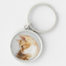 Search for ginger round key rings Pet
