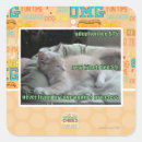Search for cage stickers I can has cheezburger