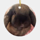 Search for lop rabbit christmas tree decorations Bunny