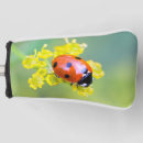 Search for ladybird golf equipment Red