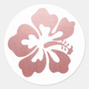 Search for hawaiian hibiscus stickers Beach