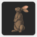 Search for fur stickers Wild animal