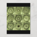 Search for pagan symbol postcards Symbols