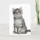 Search for months cards Cute