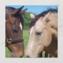 Search for quarter invitations Equine