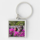 Search for gargoyle key rings Architecture