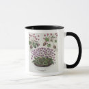 Search for cyclamen mugs Flowers