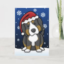 Search for bernese mountain dog christmas cards Dogs
