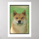 Search for shiba inu posters Dog