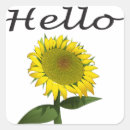 Search for hi there stickers Flowers