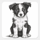 Search for collie dog stickers Black and white dog