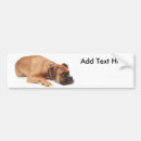 Search for boxer dogs bumper stickers Breed