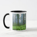 Search for redwood forest mugs Usa