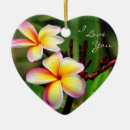 Search for tropical christmas tree decorations Plumeria