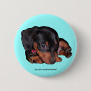 Search for wiener badges Pet