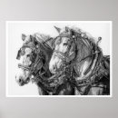 Search for draught horses posters Work horse