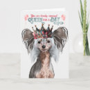 Search for chinese crested dog cards Dogs