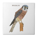 Search for bird tiles Raptor