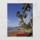 Search for caribbean postcards Palm tree