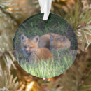 Search for baby fox christmas tree decorations Animals in the wild