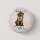 Search for chocolate lab badges Chocolate labrador retriever
