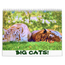 Search for tiger calendars Lion