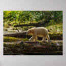 Search for black and white bear posters Hunting