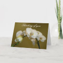 Search for white orchids cards Thinking of you