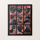 Search for raven puzzles Animals