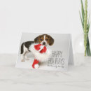 Search for beagle puppies cards Animal