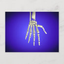 Search for human bones postcards Detail