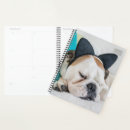 Search for sleeping office supplies Pets
