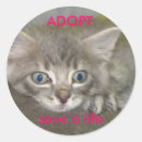 Search for save a life stickers Shelter