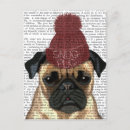 Search for snugness Animals