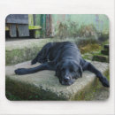Search for river scene mousepads Travel destinations