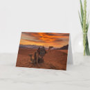 Search for egypt cards Desert