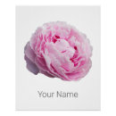 Search for rose flowers posters Retro
