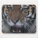 Search for dangerous mousepads Wildlife