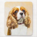 Search for blenheim electronics Cavalier king charles spaniel