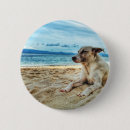 Search for relaxing badges Ocean