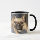 Search for purebred dogs mugs Bulldog