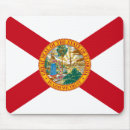 Search for sunshine state electronics Florida state flag