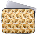 Search for ginger cat gifts Kitten