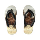 Search for horse shoes Animals